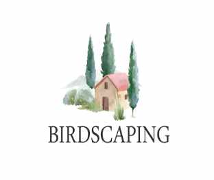鸟语花香观鸟引凤中文PNP带规则PNP素材桌游图包Birdscaping